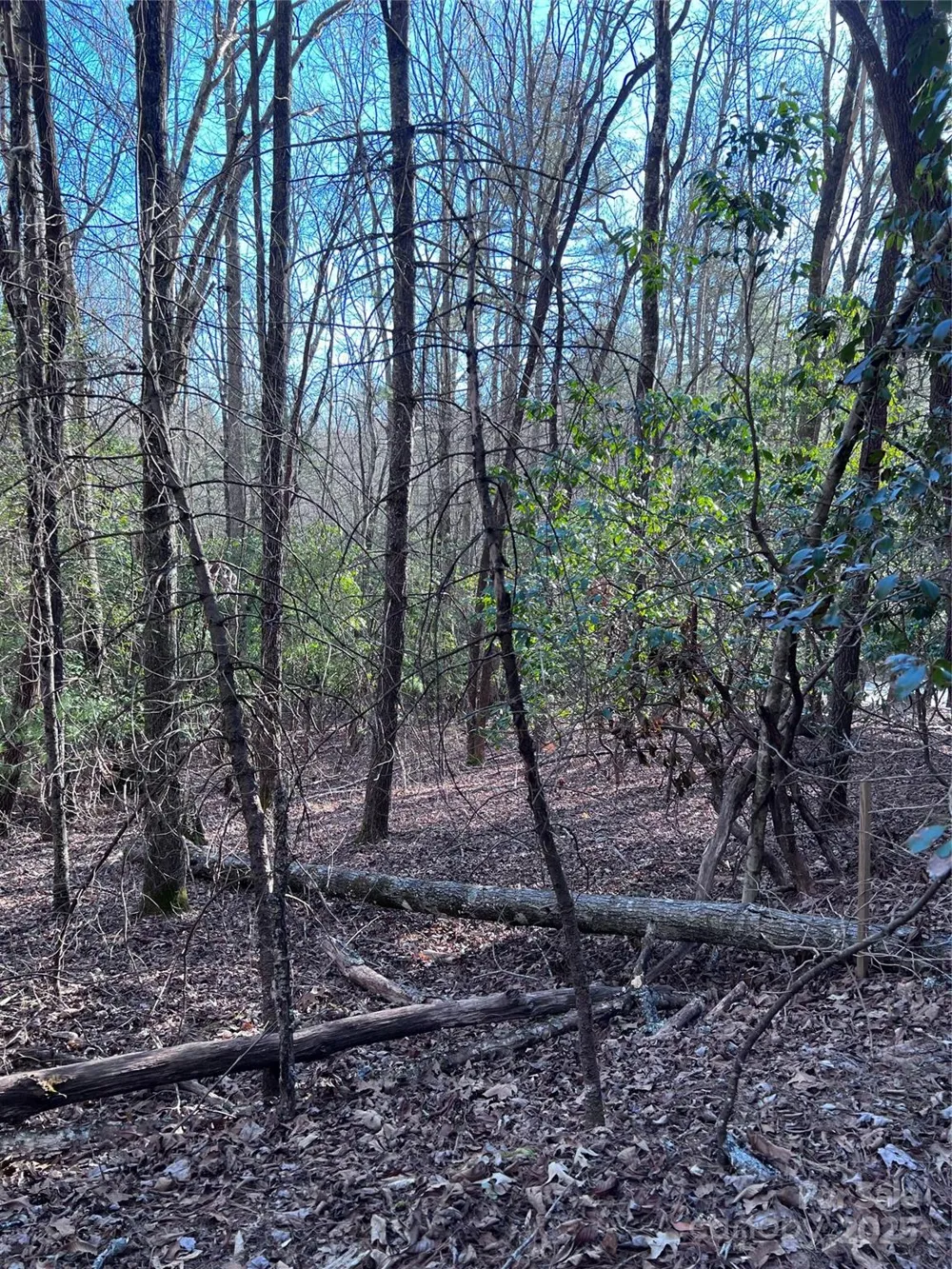 L26 Konnaneeta Trail #U03 L026 Brevard, NC 28712