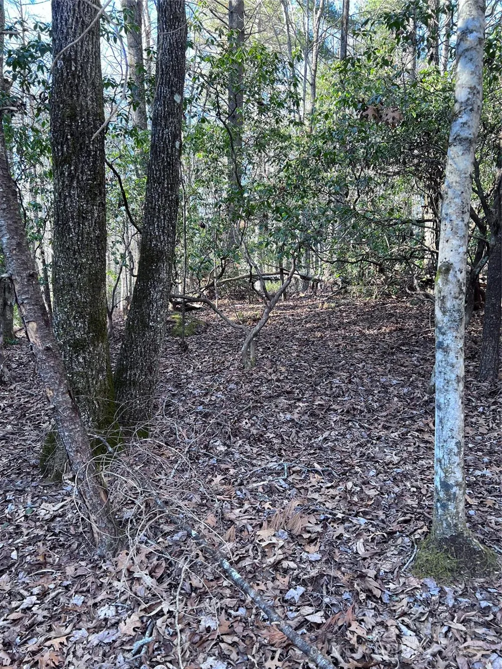 L26 Konnaneeta Trail #U03 L026 Brevard, NC 28712