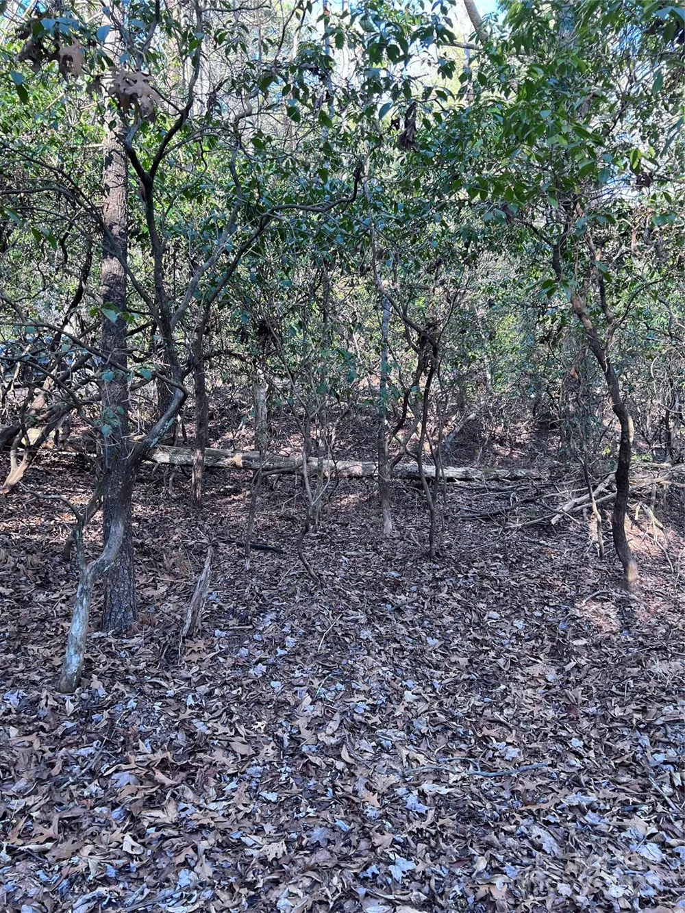 L26 Konnaneeta Trail #U03 L026 Brevard, NC 28712