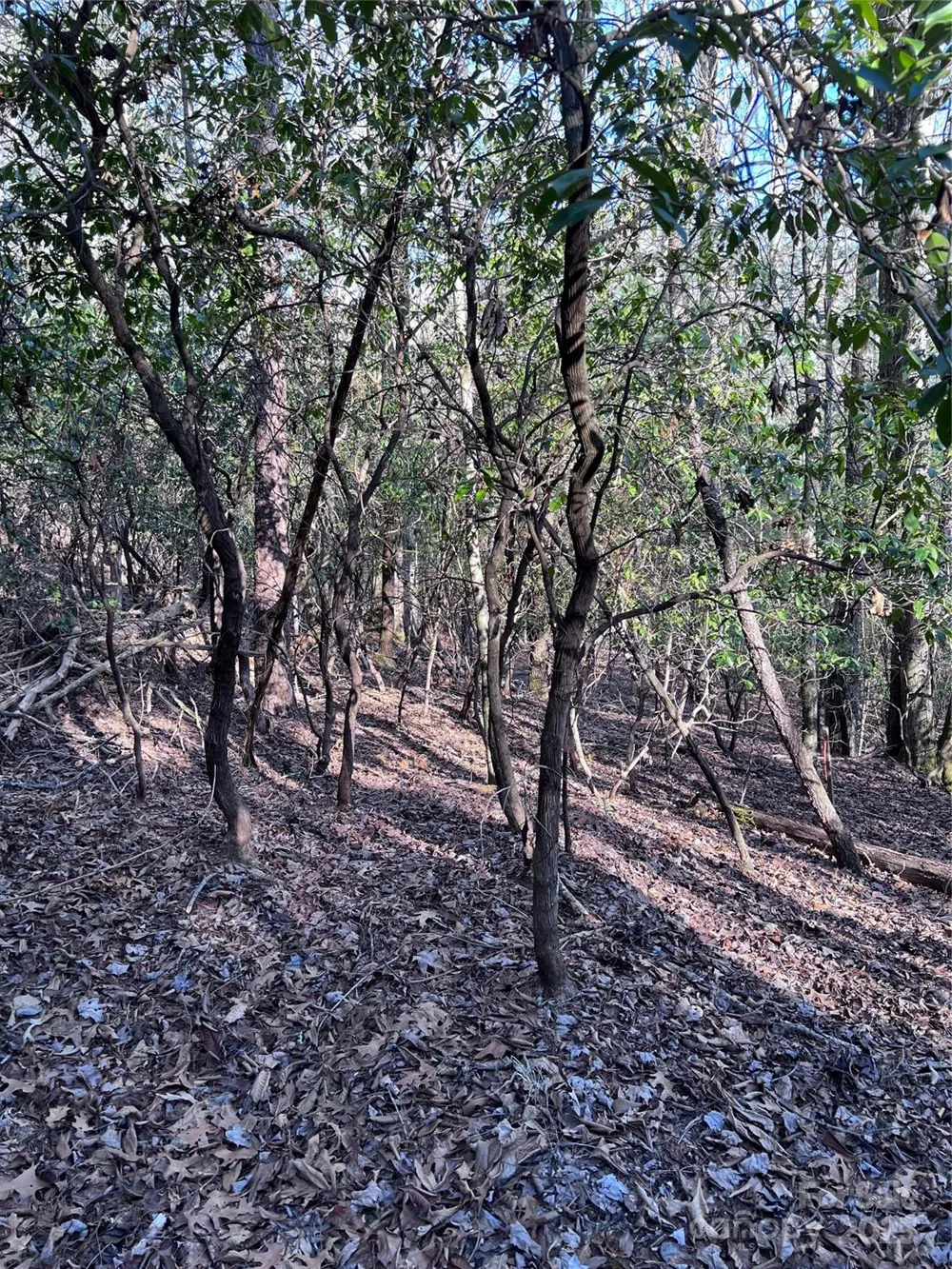 L26 Konnaneeta Trail #U03 L026 Brevard, NC 28712