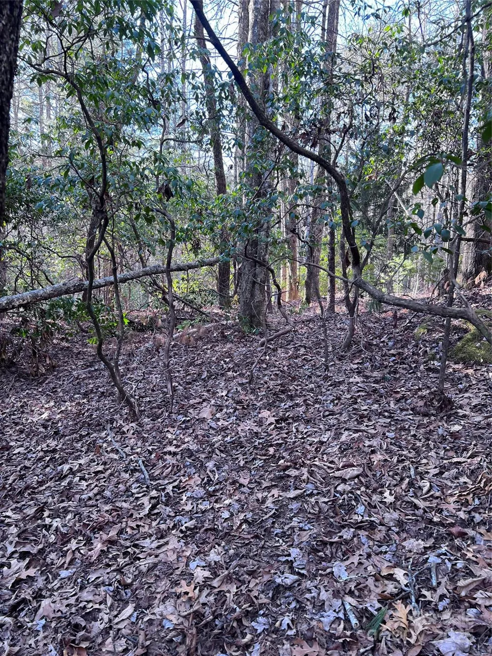 L26 Konnaneeta Trail #U03 L026 Brevard, NC 28712