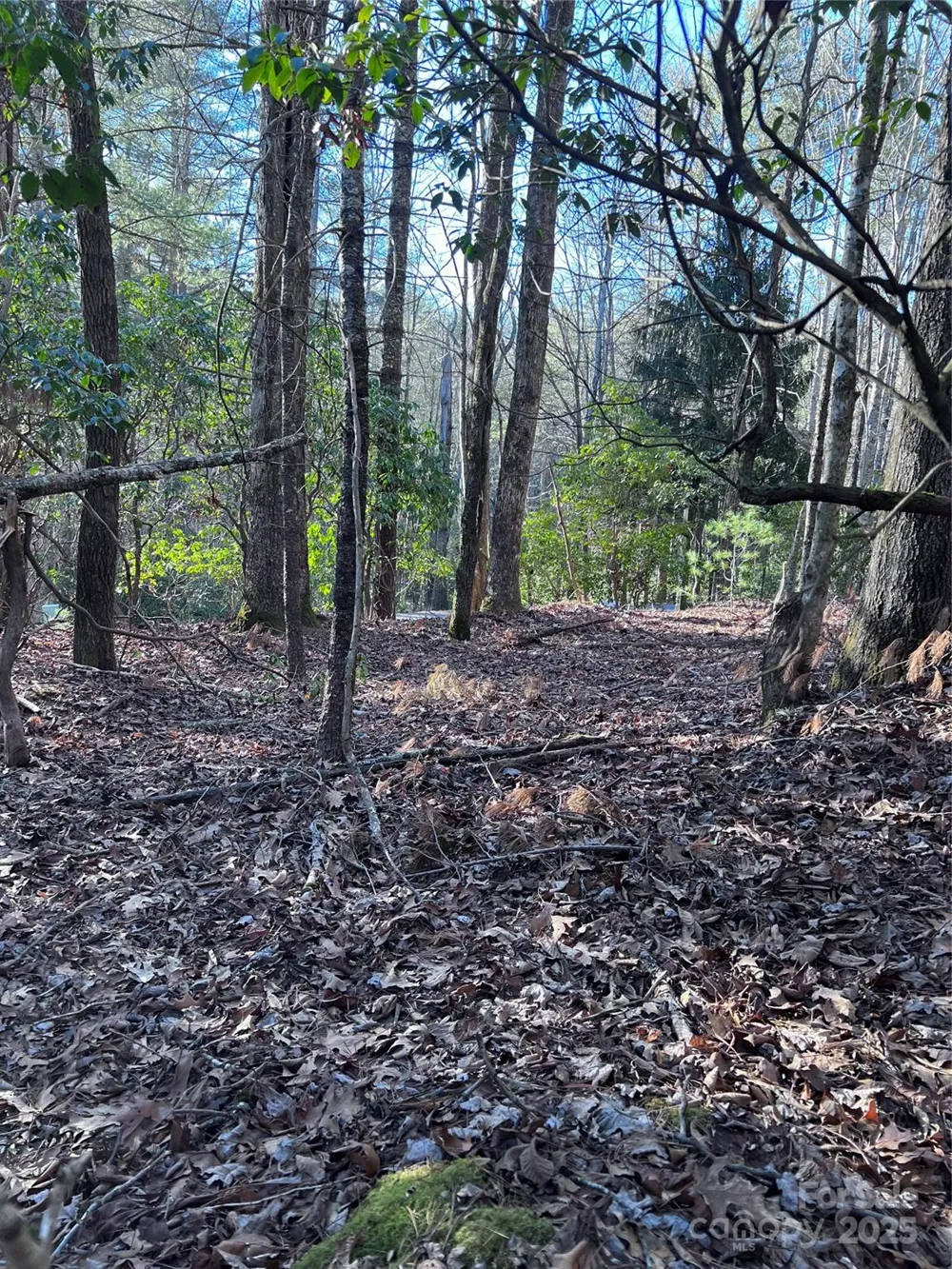 L26 Konnaneeta Trail #U03 L026 Brevard, NC 28712