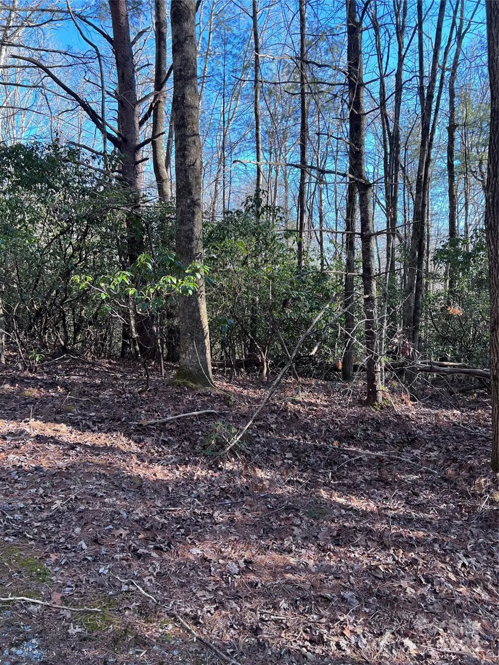 L26 Konnaneeta Trail #U03 L026 Brevard, NC 28712