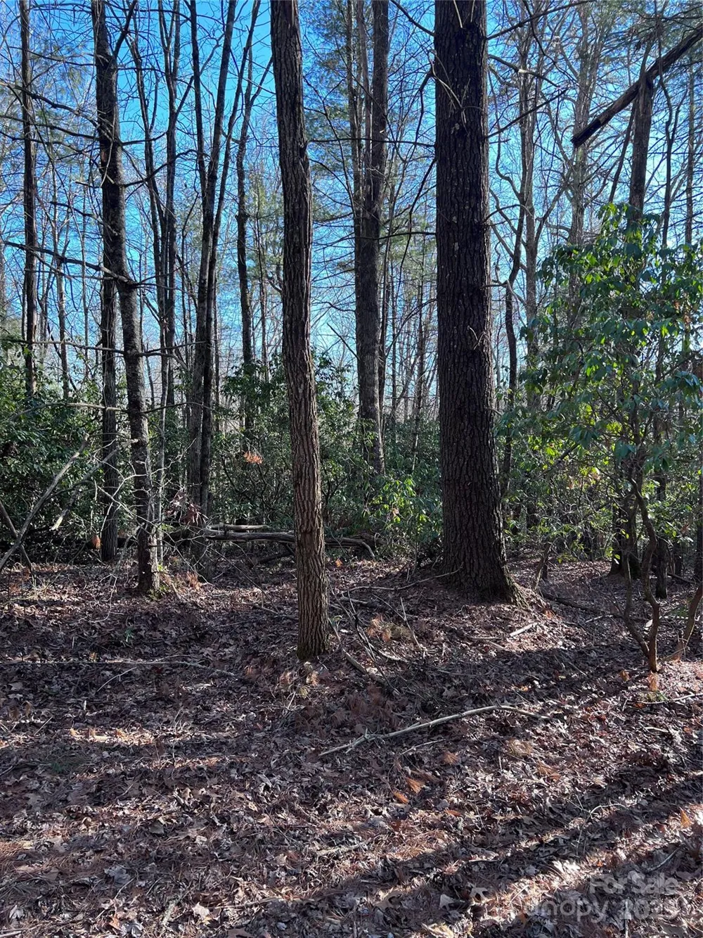 L26 Konnaneeta Trail #U03 L026 Brevard, NC 28712
