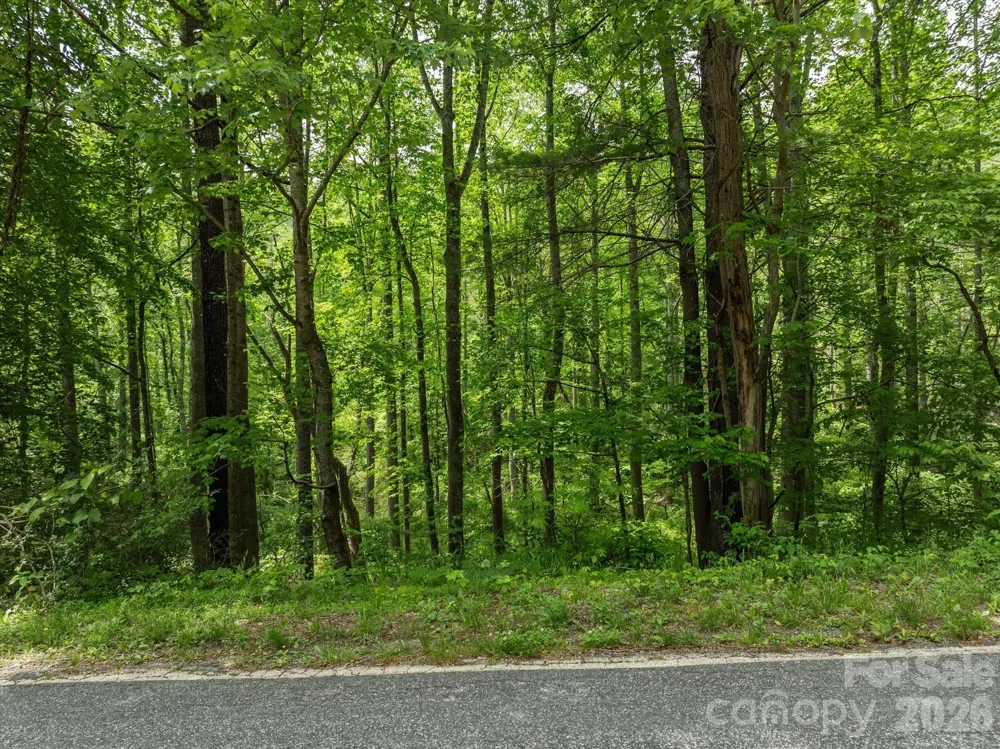 99999 Moody Cove Road #1 Weaverville, NC 28787
