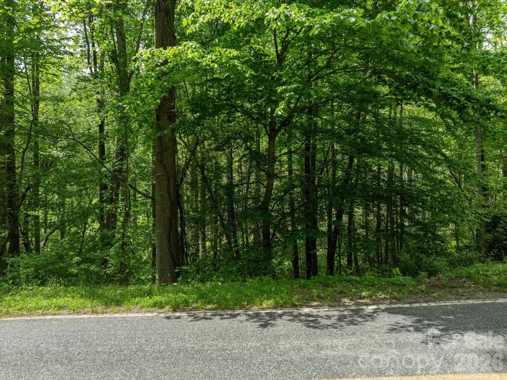 99999 Moody Cove Road #1 Weaverville, NC 28787