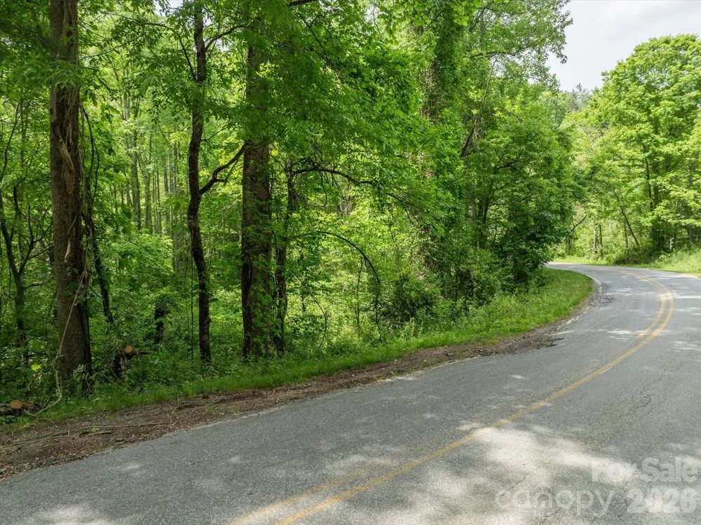 99999 Moody Cove Road #1 Weaverville, NC 28787