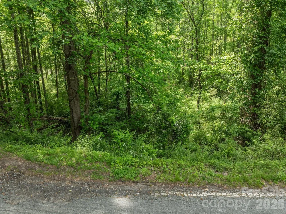 99999 Moody Cove Road #1 Weaverville, NC 28787