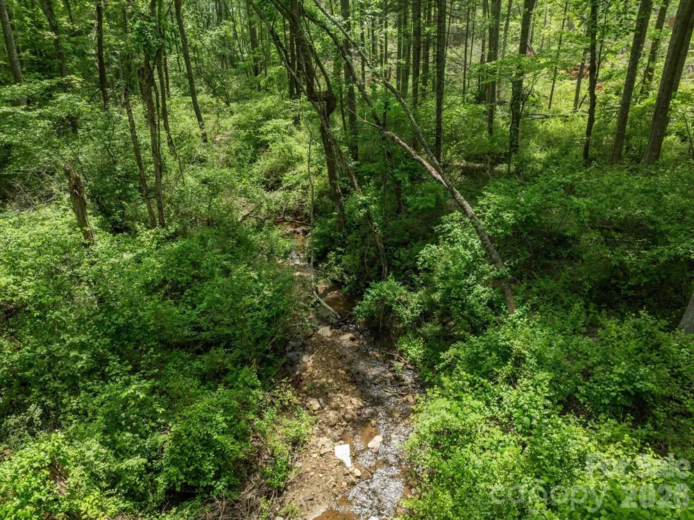 99999 Moody Cove Road #1 Weaverville, NC 28787