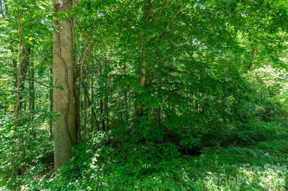 99999 Moody Cove Road #1 Weaverville, NC 28787