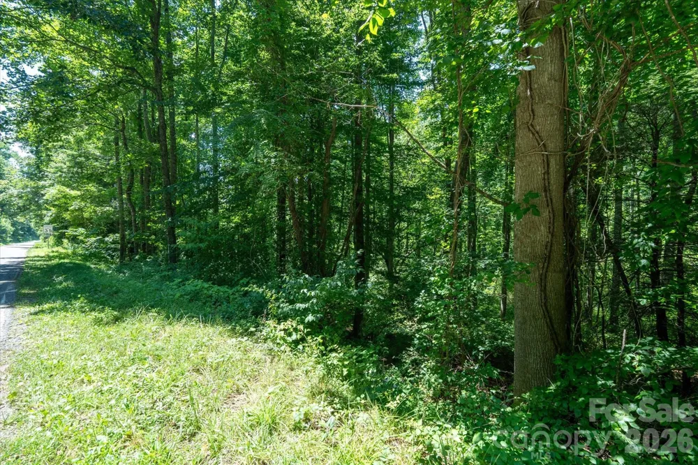 99999 Moody Cove Road #1 Weaverville, NC 28787