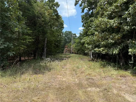Norris Lane