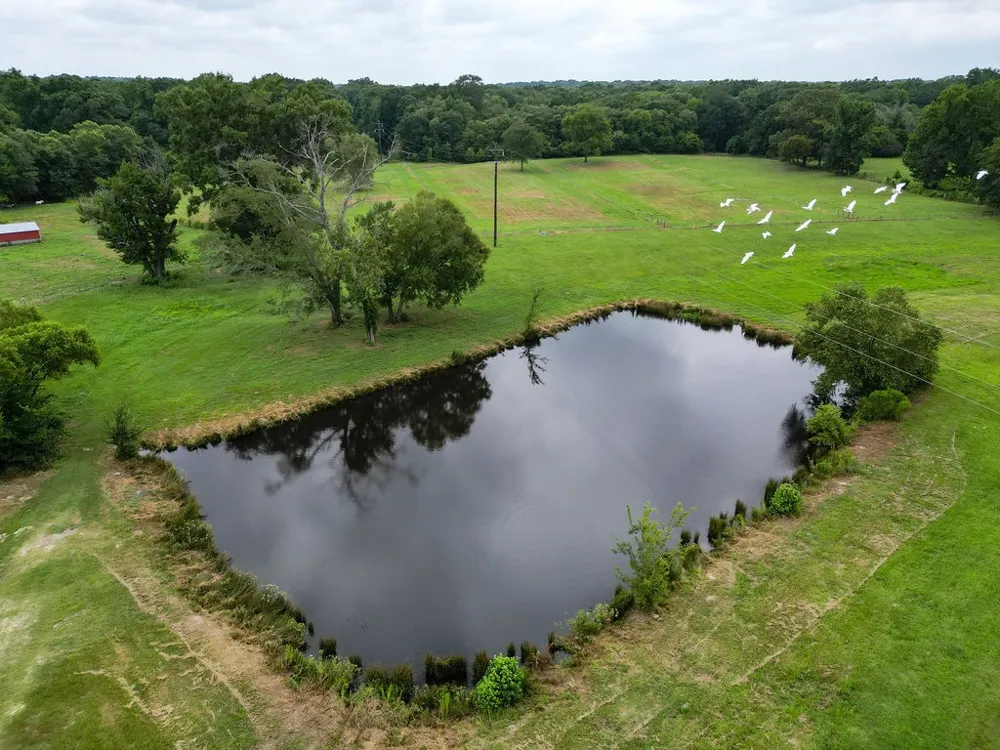 1509 County Road 3170 Quitman, TX 75783
