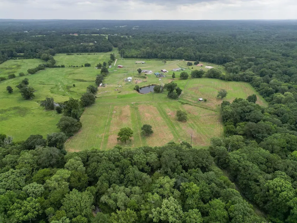 1509 County Road 3170 Quitman, TX 75783
