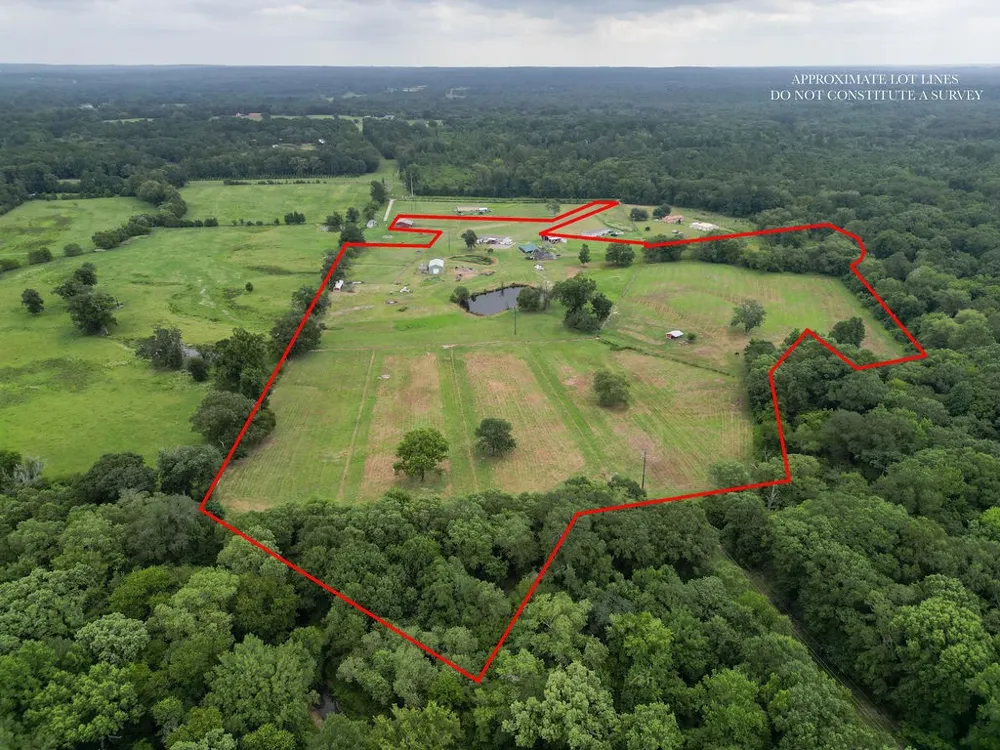 1509 County Road 3170 Quitman, TX 75783