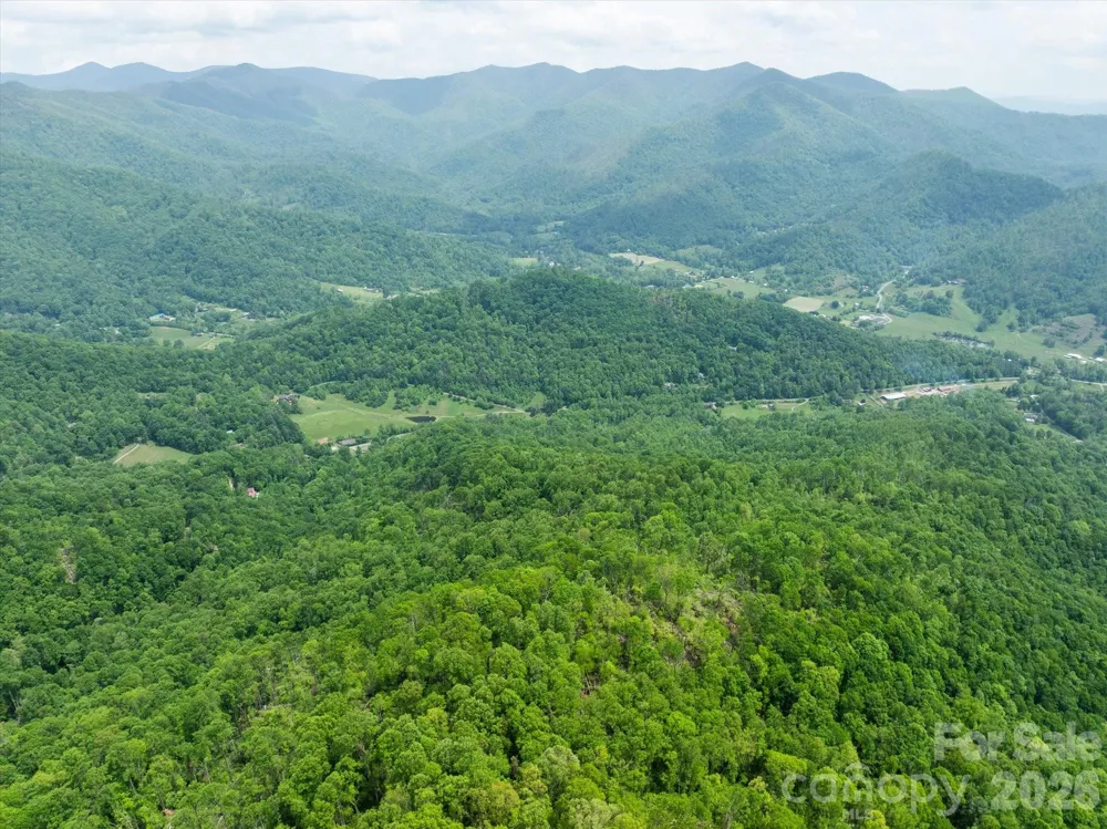 99999 Moody Cove Road #3 Weaverville, NC 28787