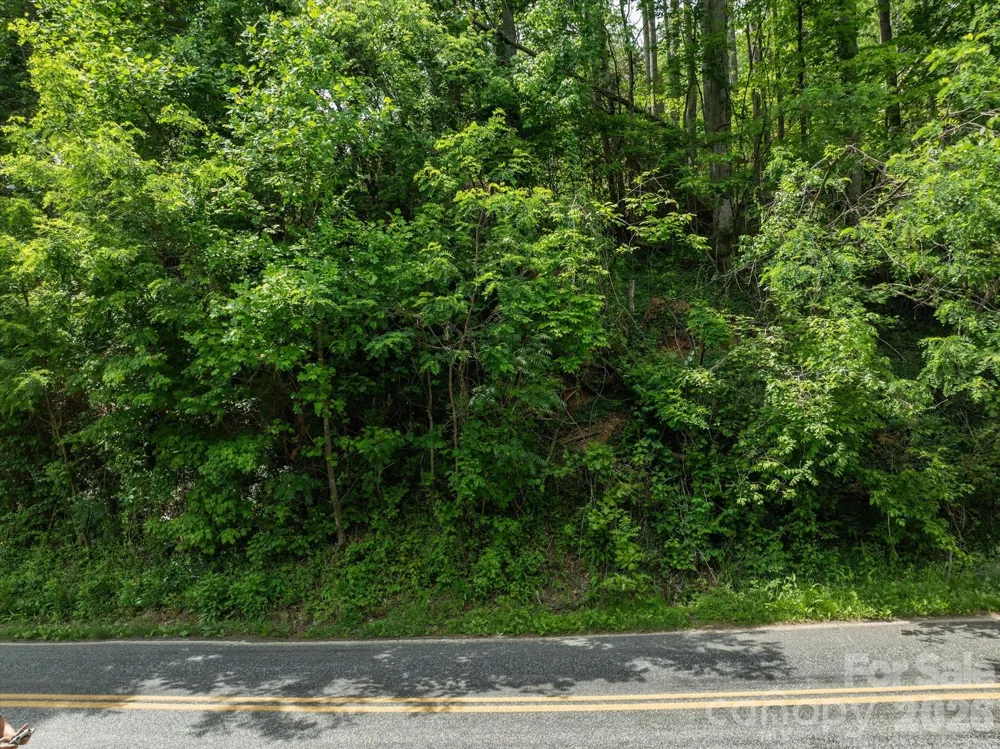 99999 Moody Cove Road #3 Weaverville, NC 28787