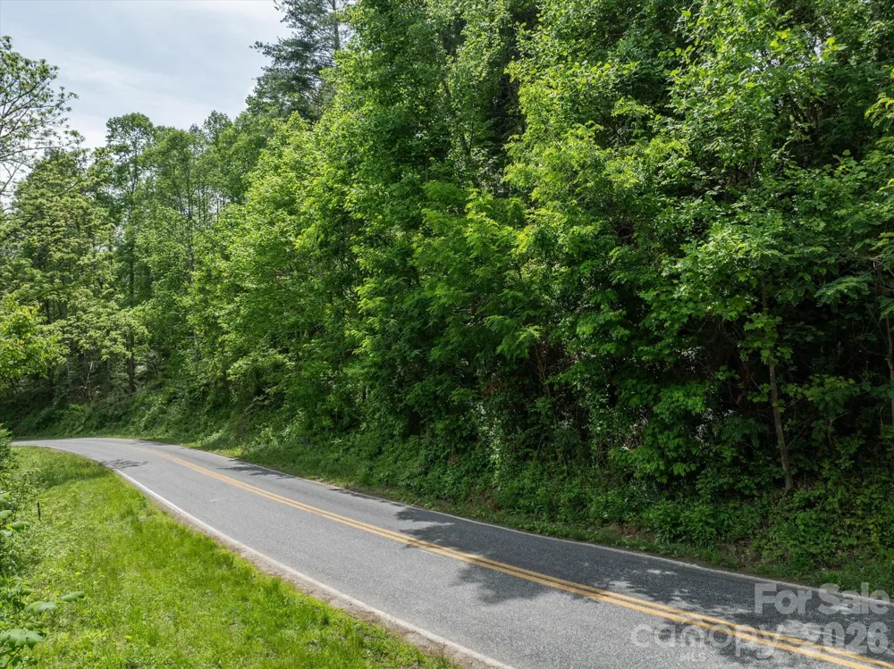 99999 Moody Cove Road #3 Weaverville, NC 28787