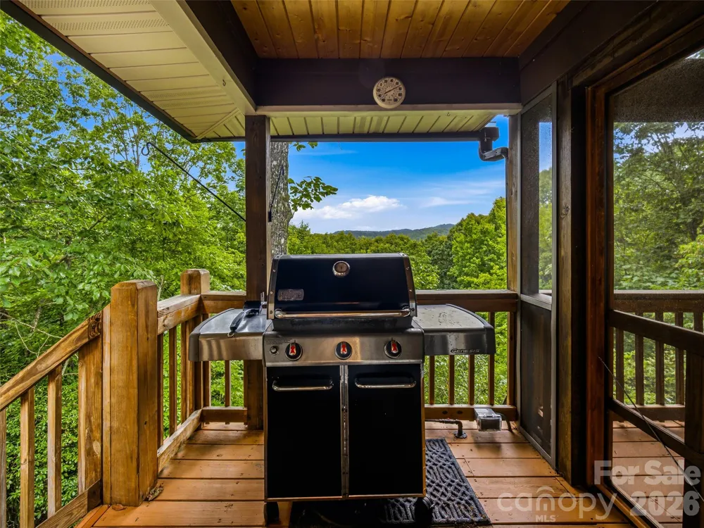 20 Adohi Court Brevard, NC 28712