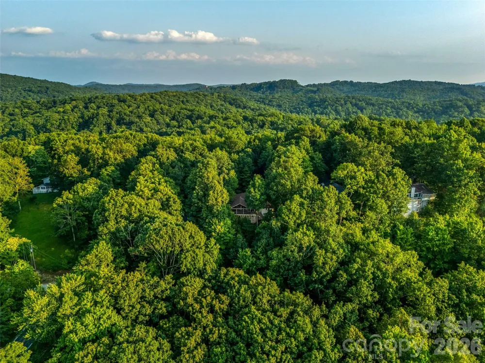 20 Adohi Court Brevard, NC 28712