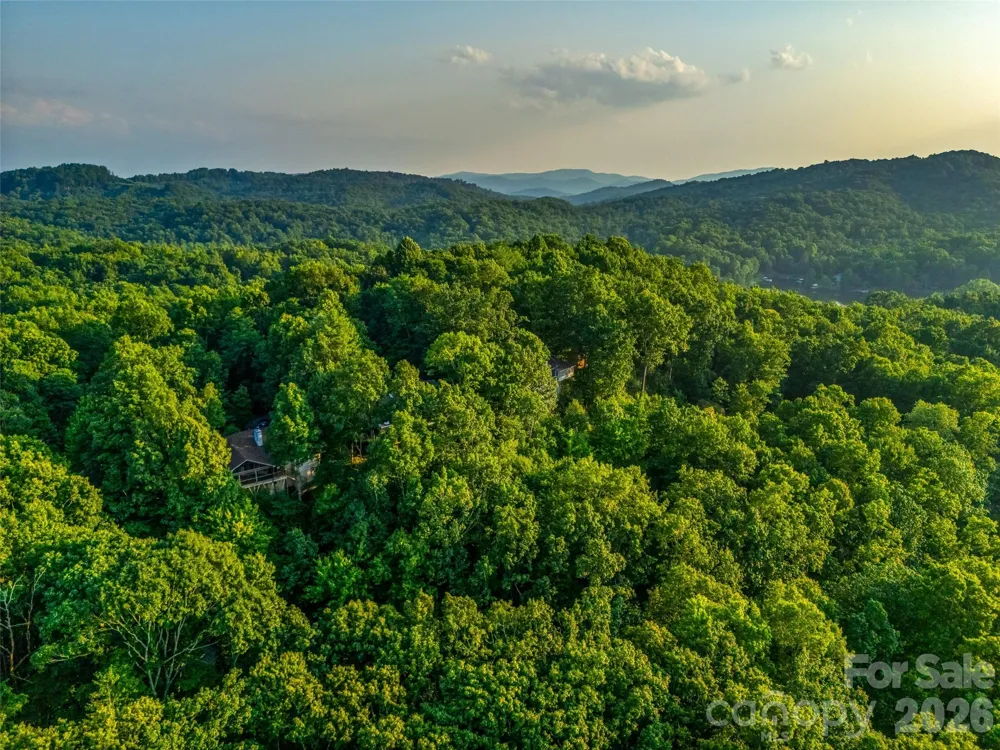 20 Adohi Court Brevard, NC 28712