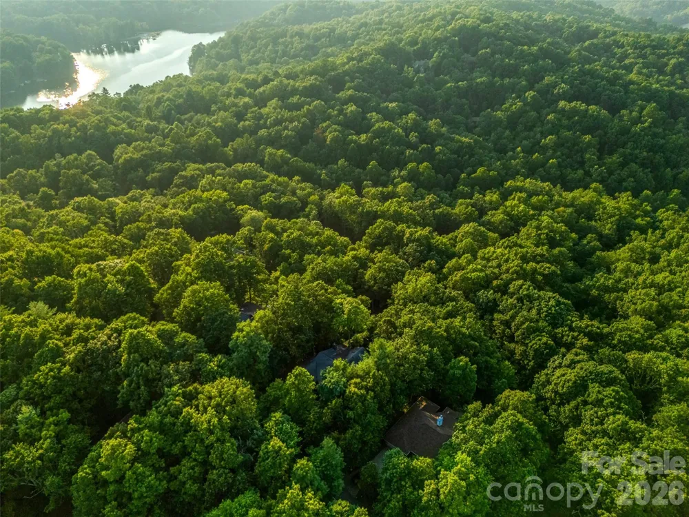 20 Adohi Court Brevard, NC 28712