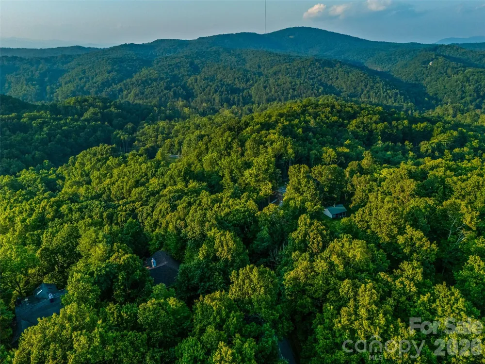 20 Adohi Court Brevard, NC 28712