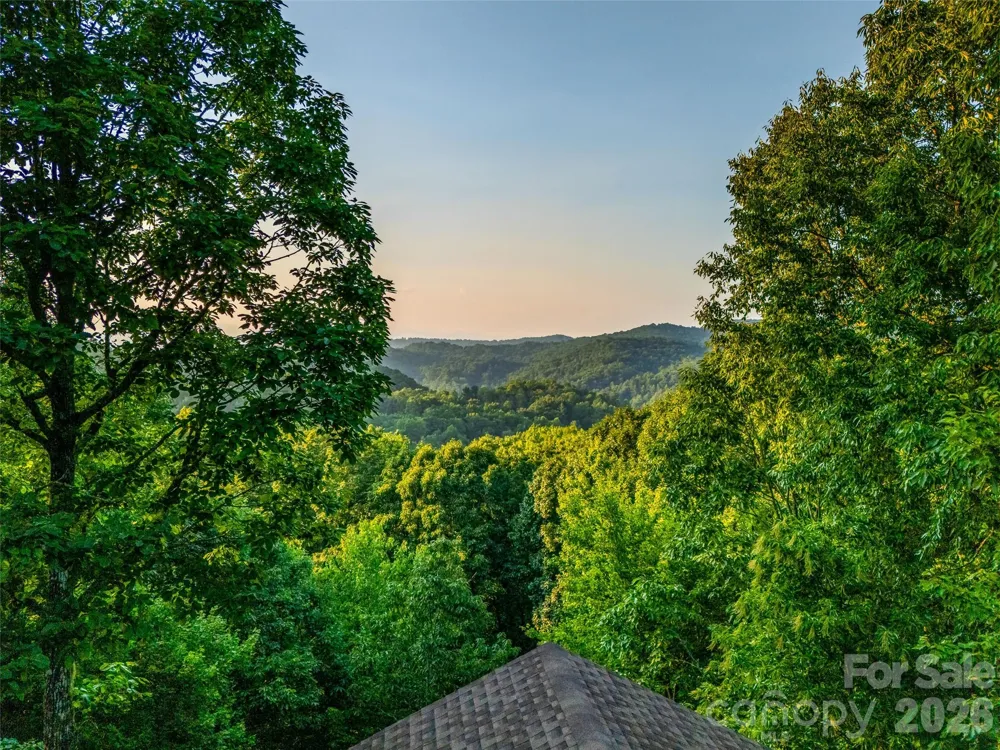 20 Adohi Court Brevard, NC 28712