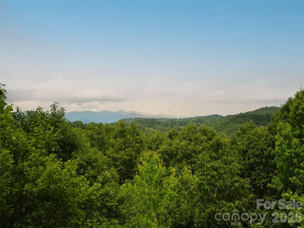 20 Adohi Court Brevard, NC 28712
