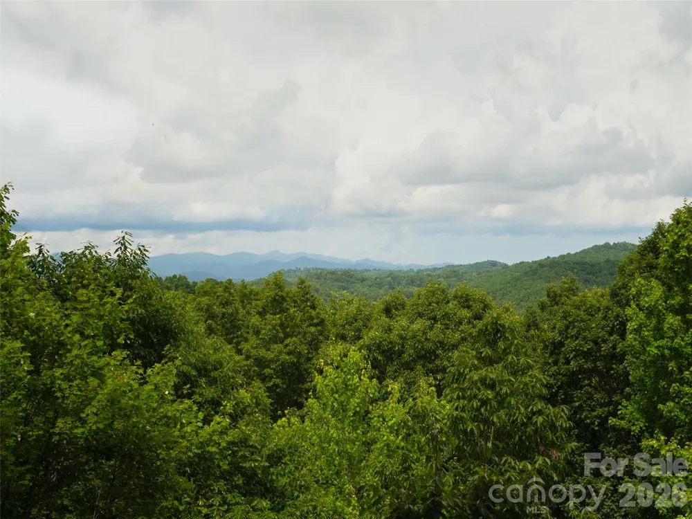 20 Adohi Court Brevard, NC 28712