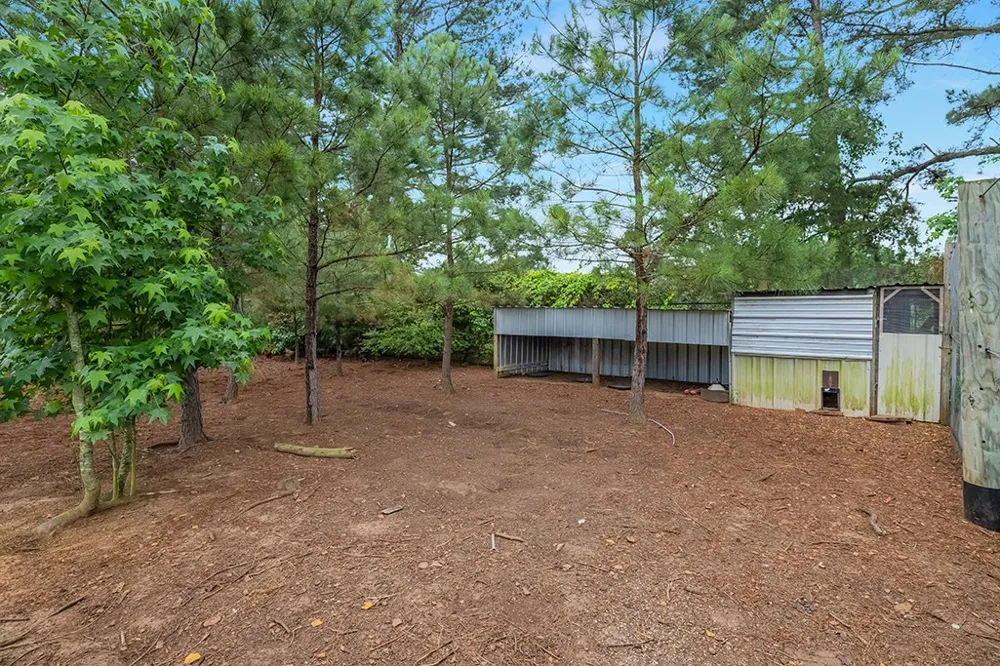 1408 Pine Wilderness Drive Queen City, TX 75572