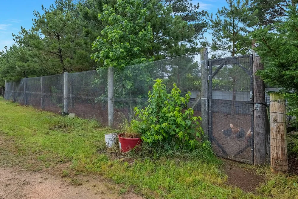 1408 Pine Wilderness Drive Queen City, TX 75572
