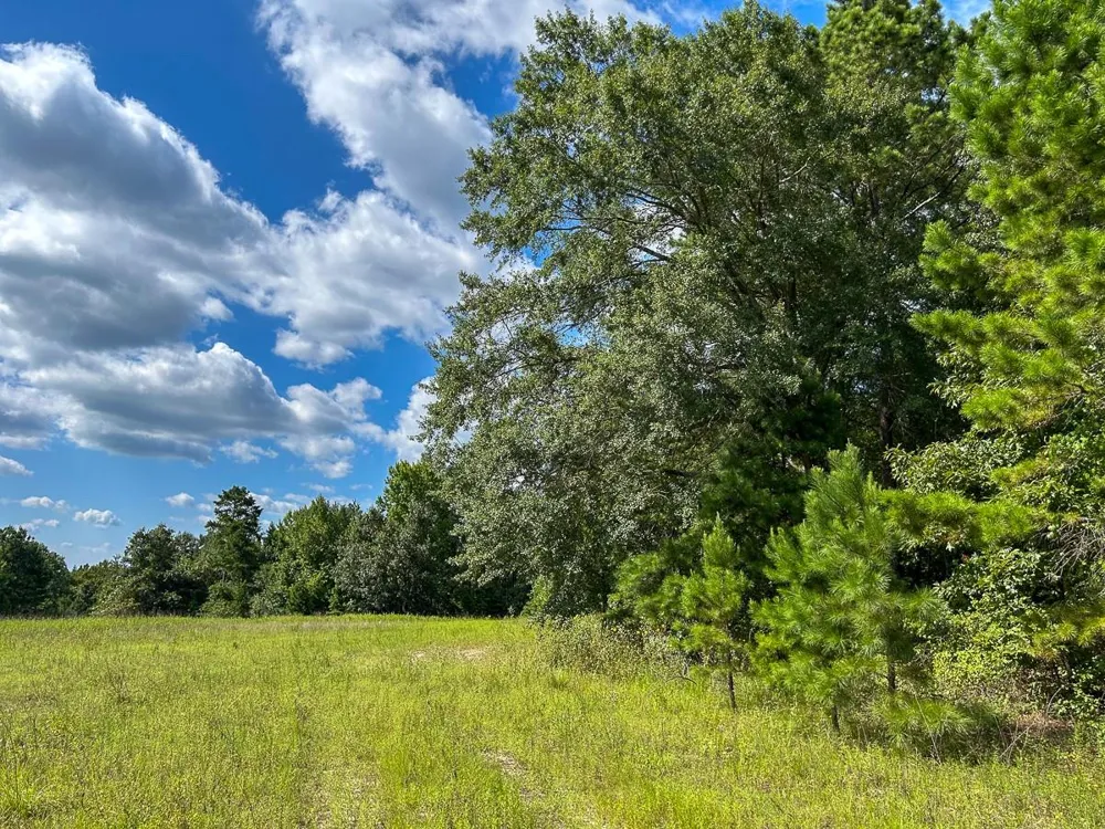 County Road 1804 Rusk, TX 75785