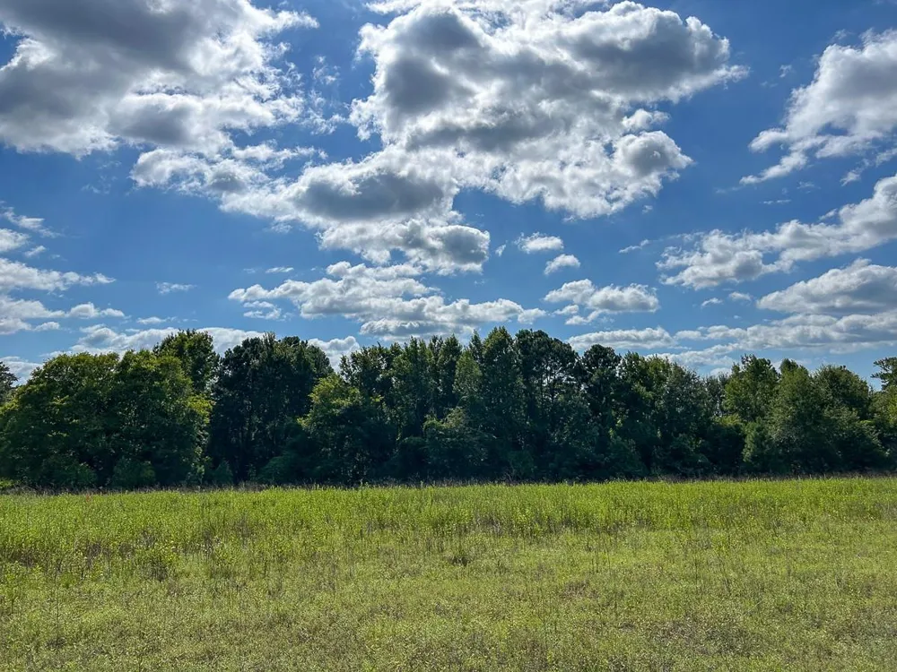 County Road 1804 Rusk, TX 75785