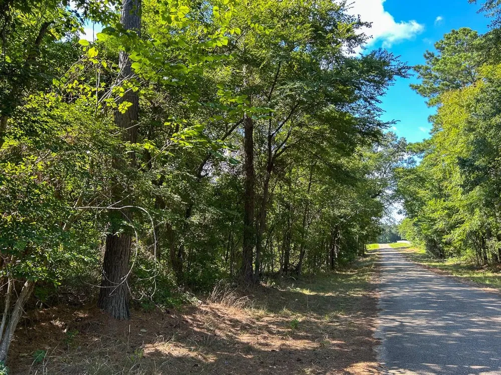 County Road 1804 Rusk, TX 75785