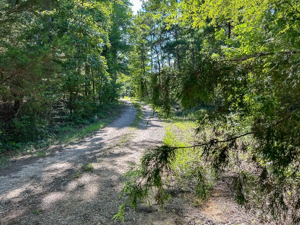 County Road 1804 Rusk, TX 75785