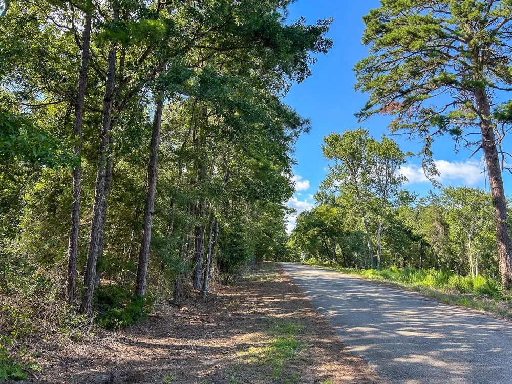 County Road 1804 Rusk, TX 75785
