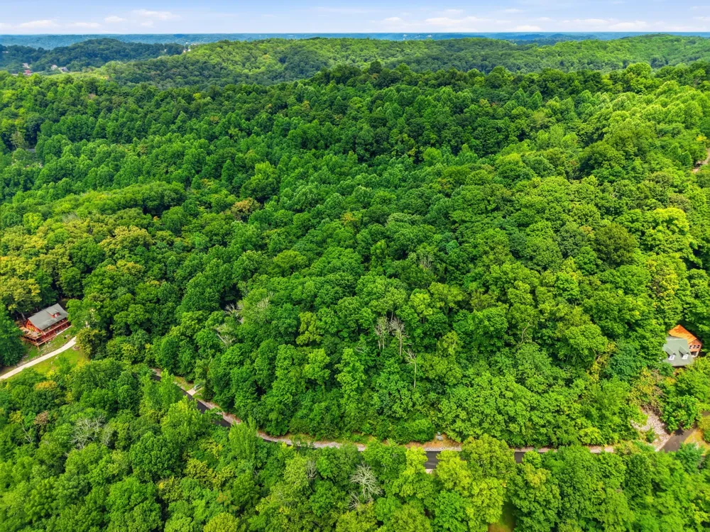 0 Shoreside Dr Smithville, TN 37166