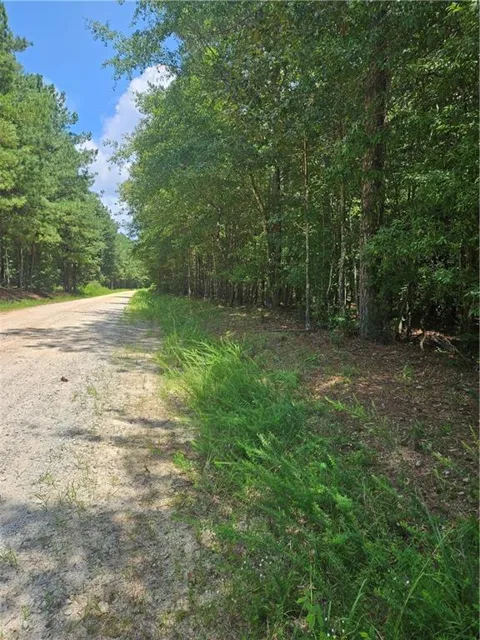 292 Mccannon Tract 3A
