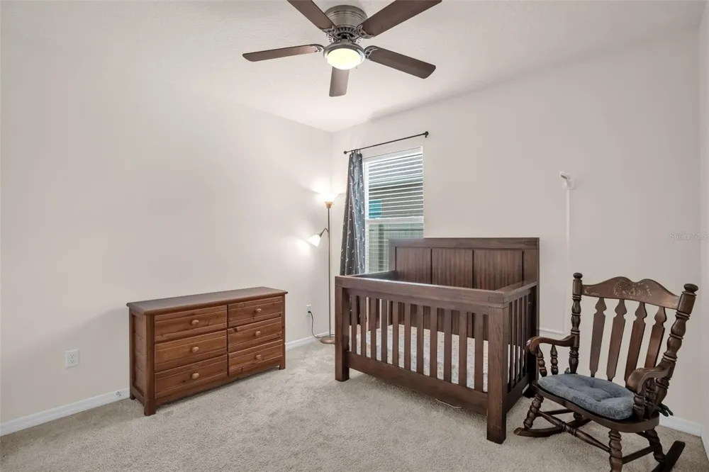 5242 MAHOGANY DRIVE Mount Dora, FL 32757