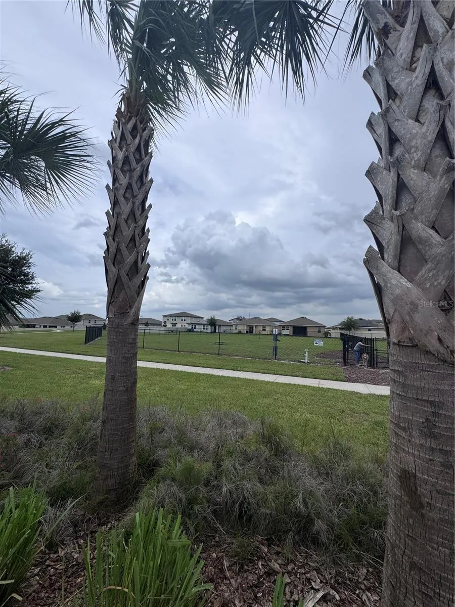 641 GRIFFON AVENUE Lake Alfred, FL 33850