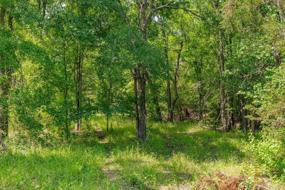 2401 County Road 382 Carlton, TX 76436