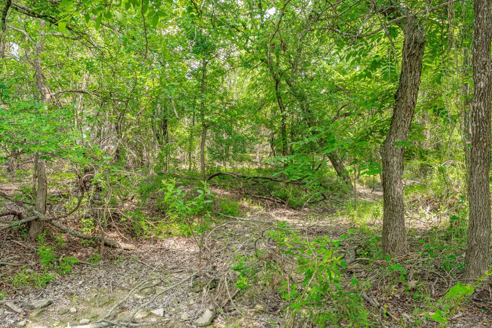 2401 County Road 382 Carlton, TX 76436