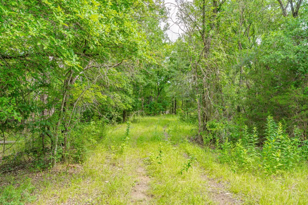 2401 County Road 382 Carlton, TX 76436
