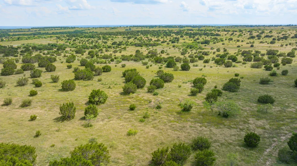 2401 County Road 382 Carlton, TX 76436