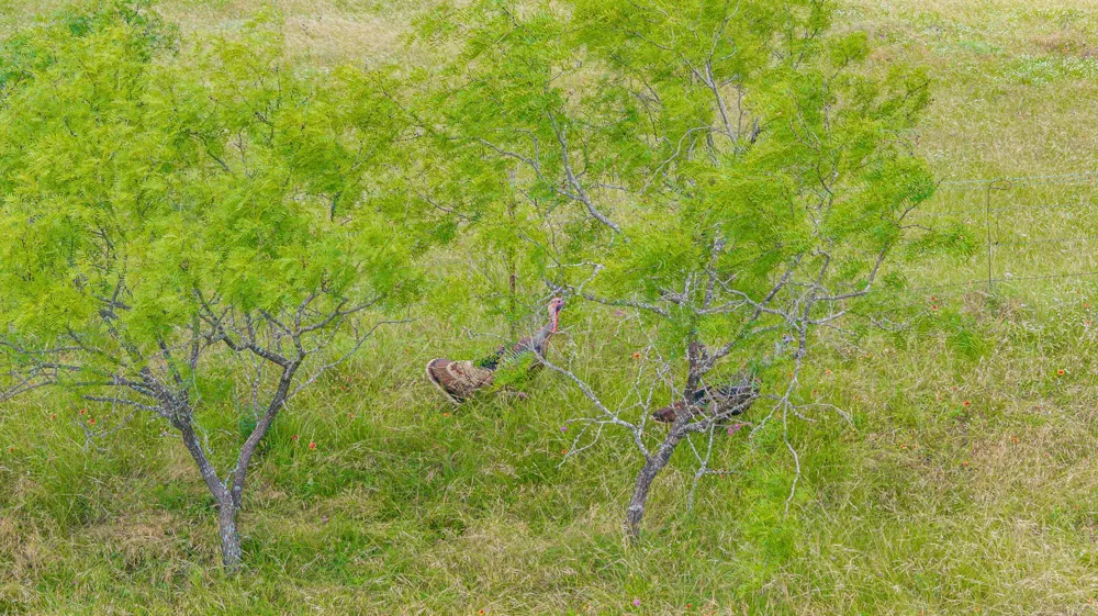 2401 County Road 382 Carlton, TX 76436