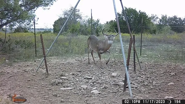 2401 County Road 382 Carlton, TX 76436