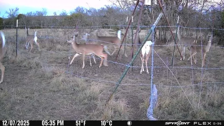 2401 County Road 382 Carlton, TX 76436