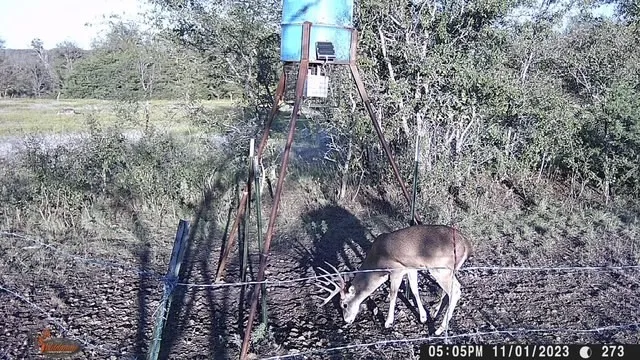 2401 County Road 382 Carlton, TX 76436
