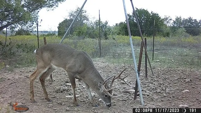2401 County Road 382 Carlton, TX 76436